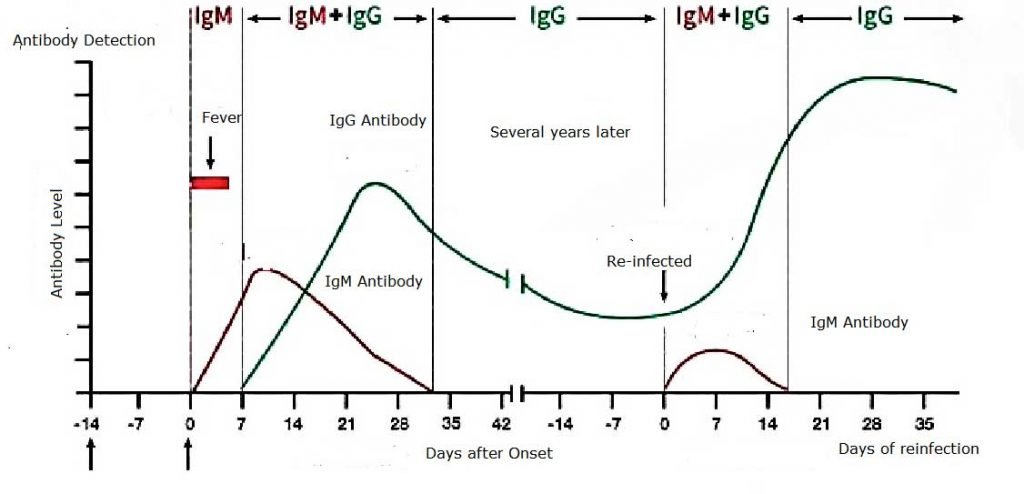 Novel-Coronavirus-(2019-nCoV)-Serological-Analysis